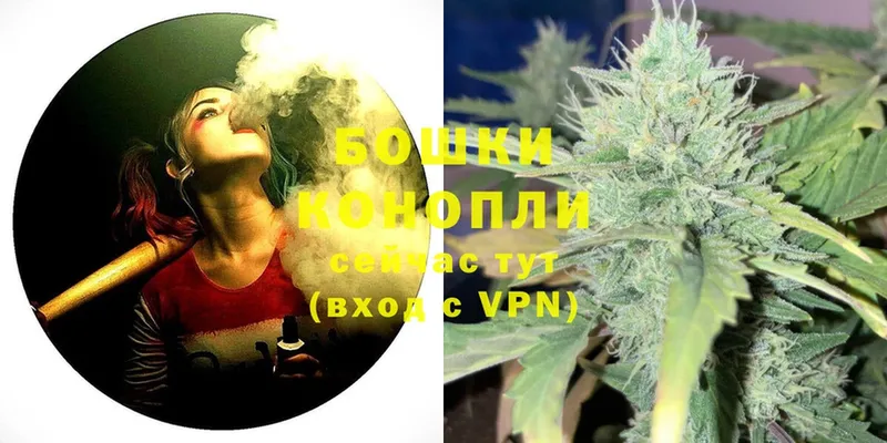 ссылка на мегу маркетплейс  Ессентуки  Марихуана SATIVA & INDICA 